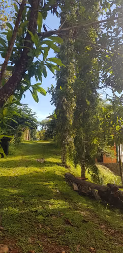 Venta de Hacienda en Arenas de Las Palmas - Santiago de Veraguas - Imagen 6