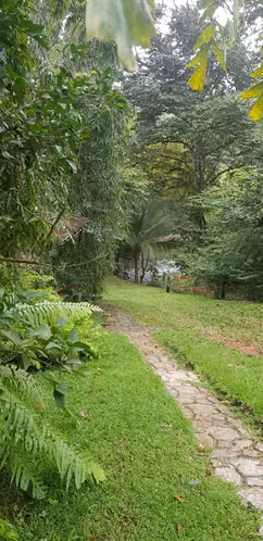 Venta de Hacienda en Arenas de Las Palmas - Santiago de Veraguas - Imagen 9