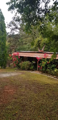 Venta de Hacienda en Arenas de Las Palmas - Santiago de Veraguas - Imagen 10