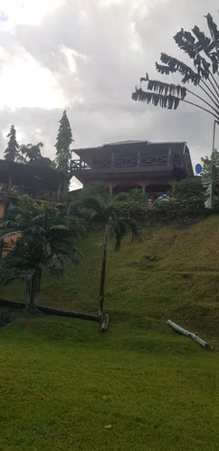 Venta de Hacienda en Arenas de Las Palmas - Santiago de Veraguas - Imagen 4