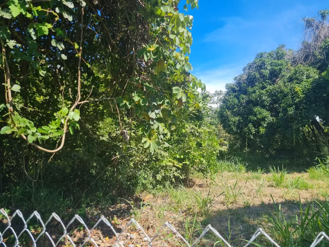 VENDO LOTE SANTA CLARA 2,345 m2  Interamericana Frente 80 mt.