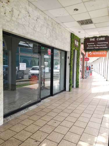 Alquiler de Local en Via España. - Imagen 2