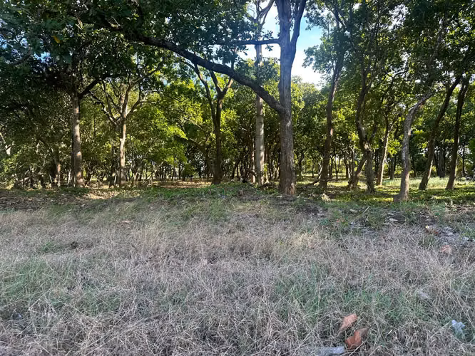 Se vede terreno “Precio negociable” en LAS TABLAS Via El Uverito OV