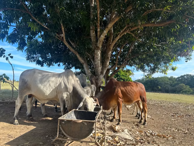 Se vede terreno “Precio negociable” en LAS TABLAS Via El Uverito OV