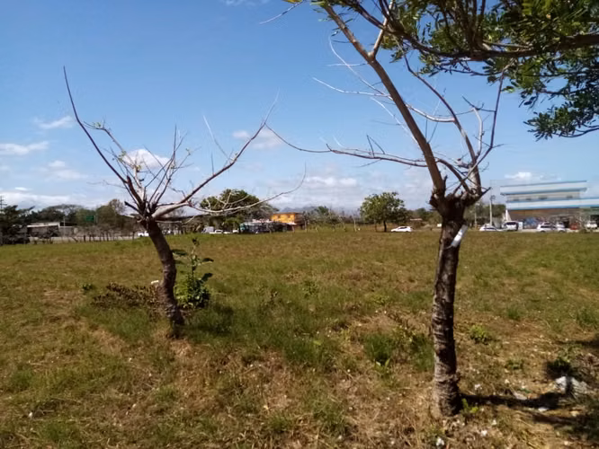 Terreno en venta en Río Grande | 6,429 m² sobre vía Panamericana - Imagen 2