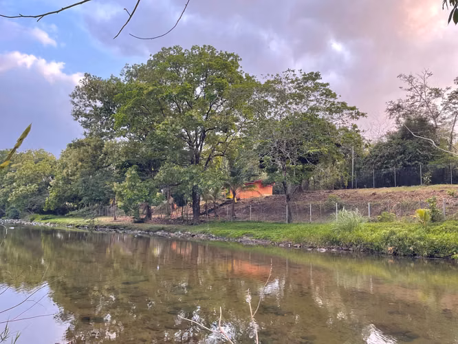 Venta de Lote con y Mejoras en El Carriazo, San Martín - Imagen 8