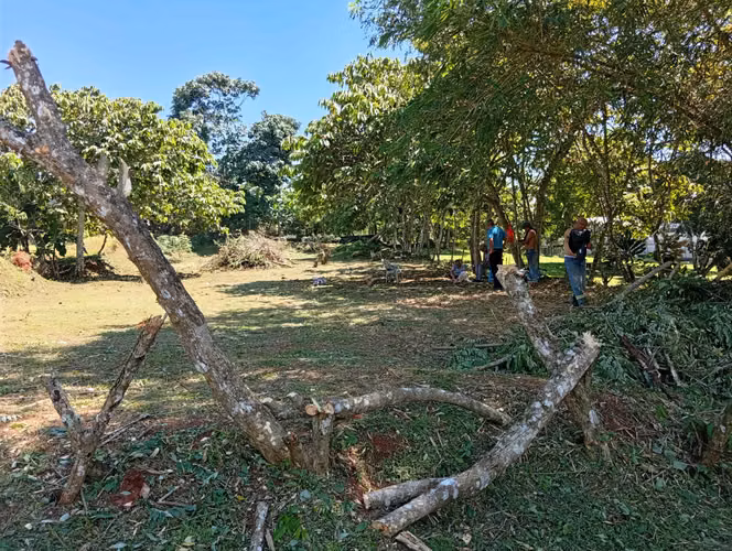 Vendo Terreno en Carrizal de nuevo Emperador, cerca de la Escuela
