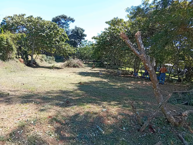 Vendo Terreno en Carrizal de nuevo Emperador, cerca de la Escuela