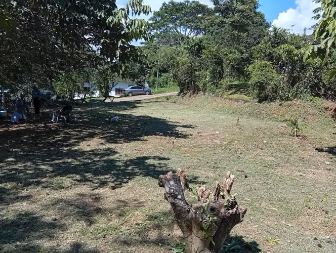Vendo Terreno en Carrizal de nuevo Emperador, cerca de la Escuela