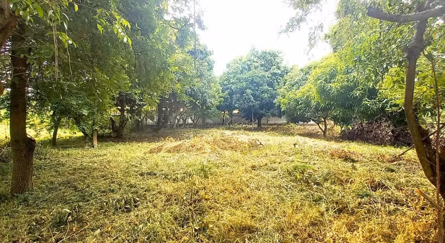 Amplio Terreno en Gorgona