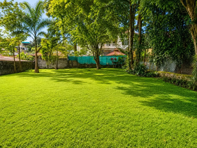 Venta de Terreno en San Francisco, 720m²
