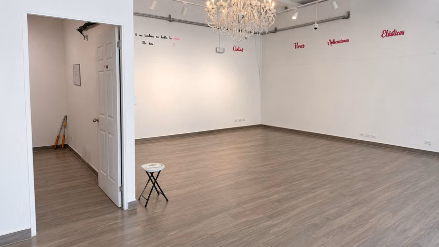 Local 97 m² planta baja con vitrina – Bella Vista/Vía España – PH El Botánico