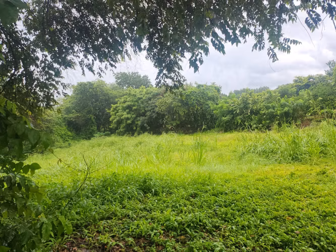 Melissa Foster Luxury vende terreno en Las Lajas de Coronado MFR1761