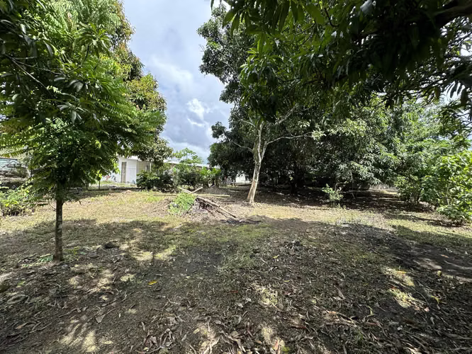 Se vende Terreno con casa en Pacora