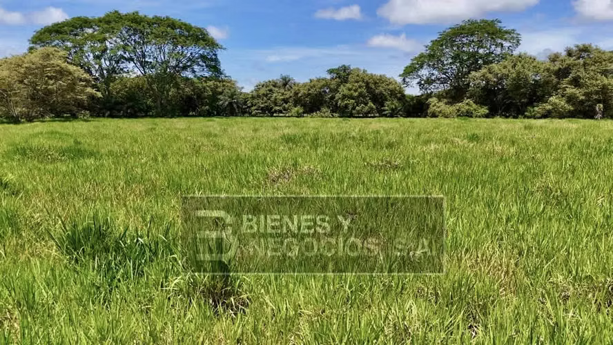 Finca en Chiriqui, Alanje, 33.5  hectáreas en Guarumal