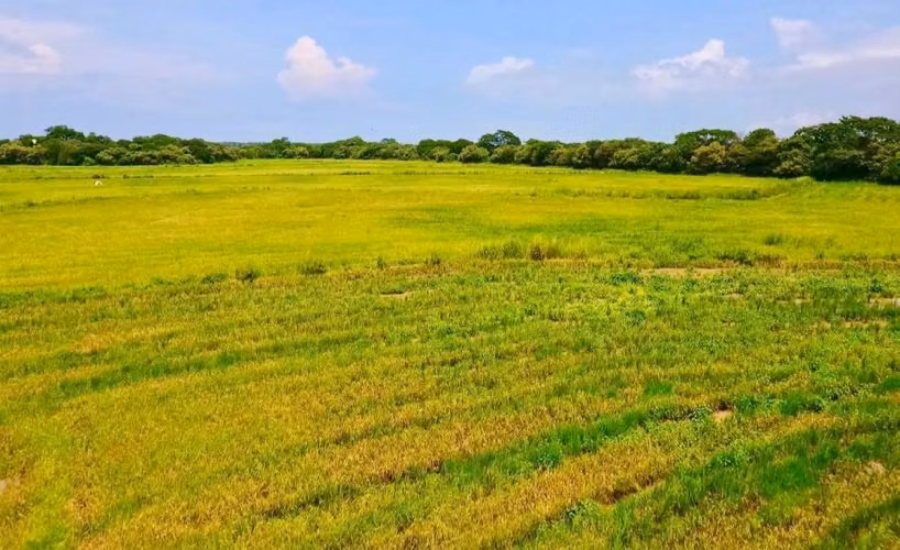 COCLÉ TERRENO EN VENTA