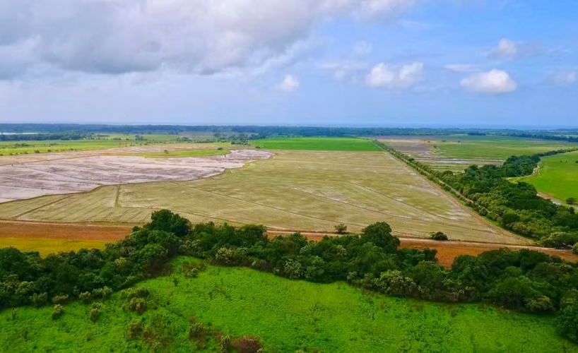COCLÉ TERRENO EN VENTA