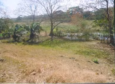 Se Vende Casa - Finca en Chepo, Panamá