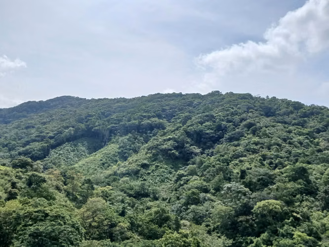 Chepo Land Opportunity: 135 Hectares with River Access
