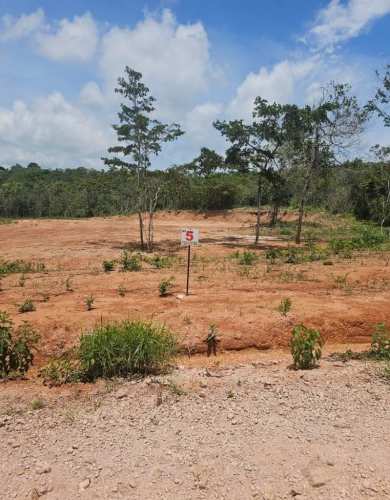 Compra y pâga poco a poco Lote Penonome