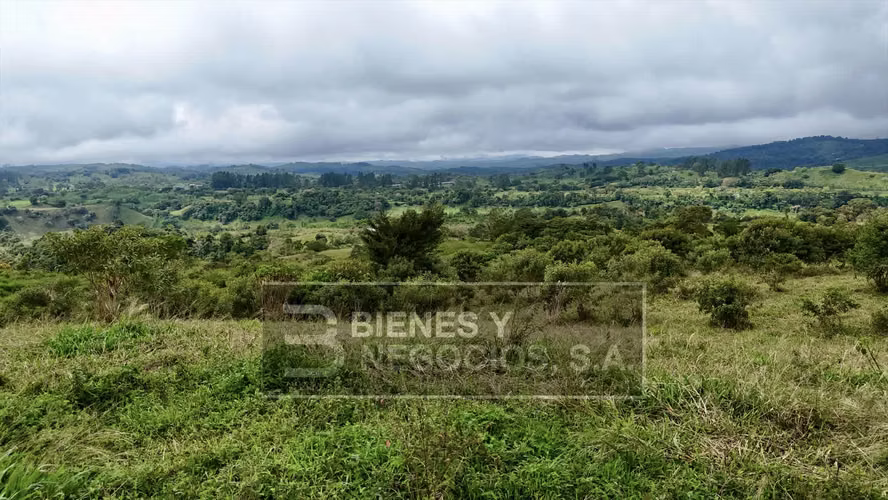 Terreno en Chiriqui, 3.1 hectareas en Cordillera