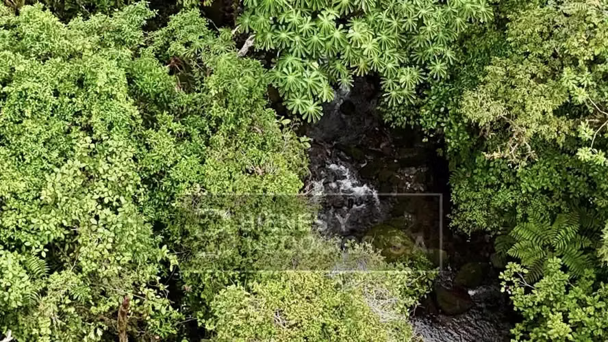 Terreno en Chiriqui, 3.1 hectareas en Cordillera