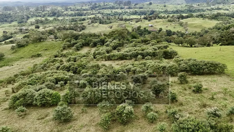 Terreno en Chiriqui, 3.1 hectareas en Cordillera