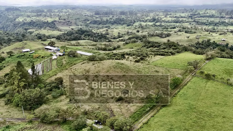 Terreno en Chiriqui, 3.1 hectareas en Cordillera