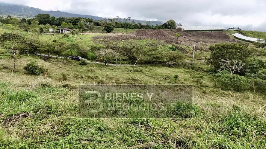 Terreno en Chiriqui, 3.1 hectareas en Cordillera