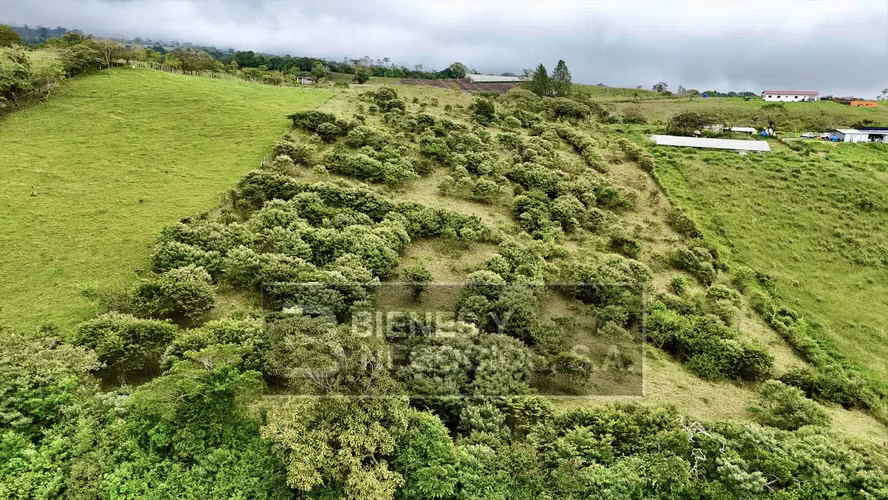 Terreno en Chiriqui, 3.1 hectareas en Cordillera