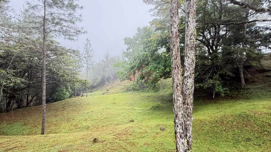 VENTA DE TERRENO EN CERRO AZUL – ALTOS DE LOS GUARDIANES