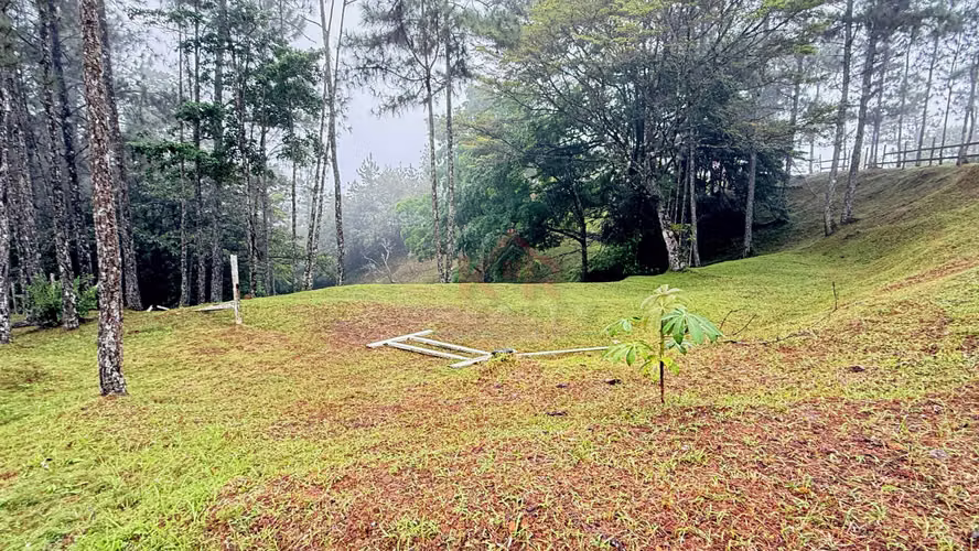VENTA DE TERRENO EN CERRO AZUL – ALTOS DE LOS GUARDIANES