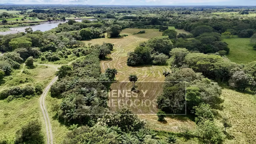 Land in Chiriqui, Alanje, 27.8 Acres In Guarumal