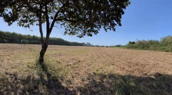 VENTA DE TERRENO EN PLAYA BLANCA - Imagen 3
