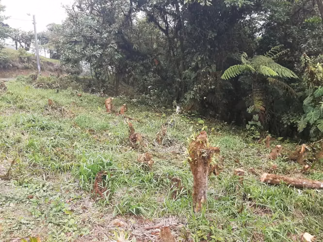 Vendo terreno en Altos de María