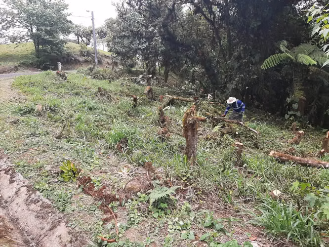 Vendo terreno en Altos de María