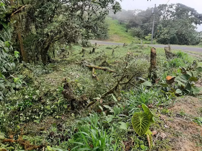 Vendo terreno en Altos de María