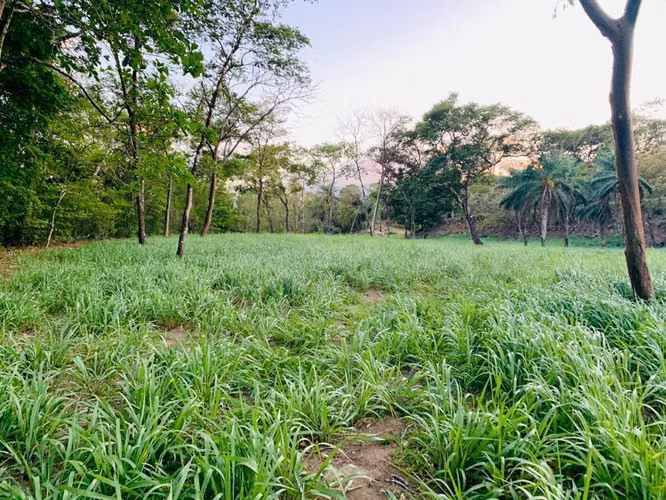 Se vende espectacular finca Chiriquí 10,000 por hectárea