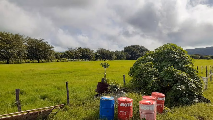 Se vende espectacular finca Chiriquí 10,000 por hectárea