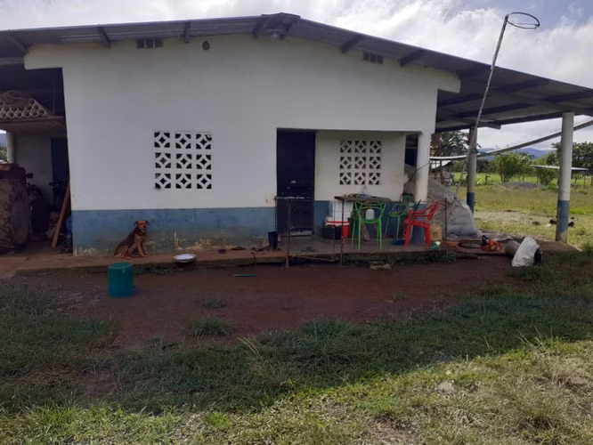 Se vende espectacular finca Chiriquí 10,000 por hectárea
