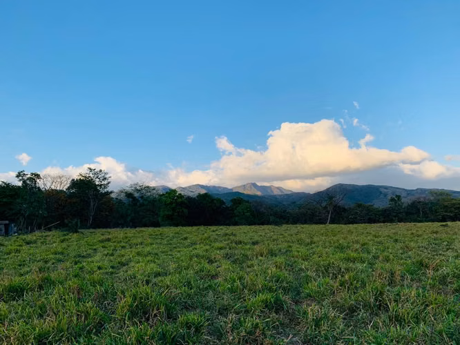 Se vende espectacular finca Chiriquí 10,000 por hectárea