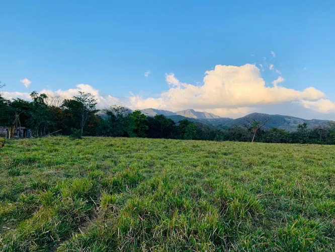Se vende espectacular finca Chiriquí 10,000 por hectárea