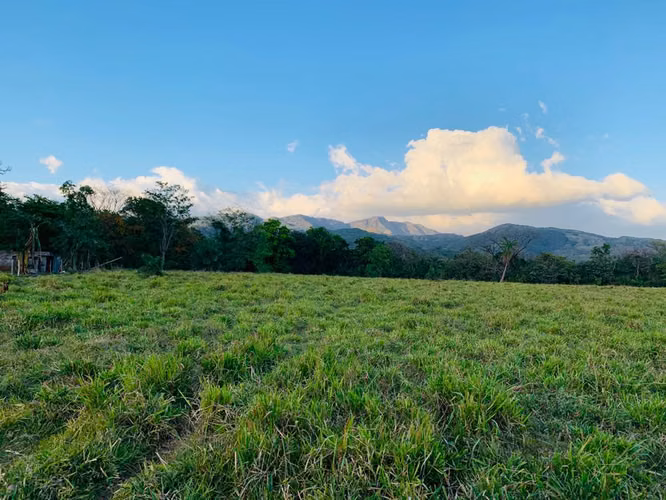 Se vende espectacular finca Chiriquí 10,000 por hectárea
