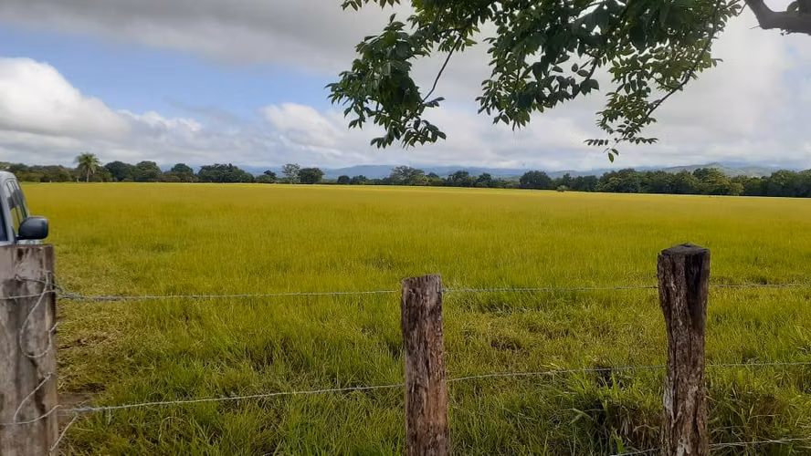 Se vende espectacular finca Chiriquí 10,000 por hectárea