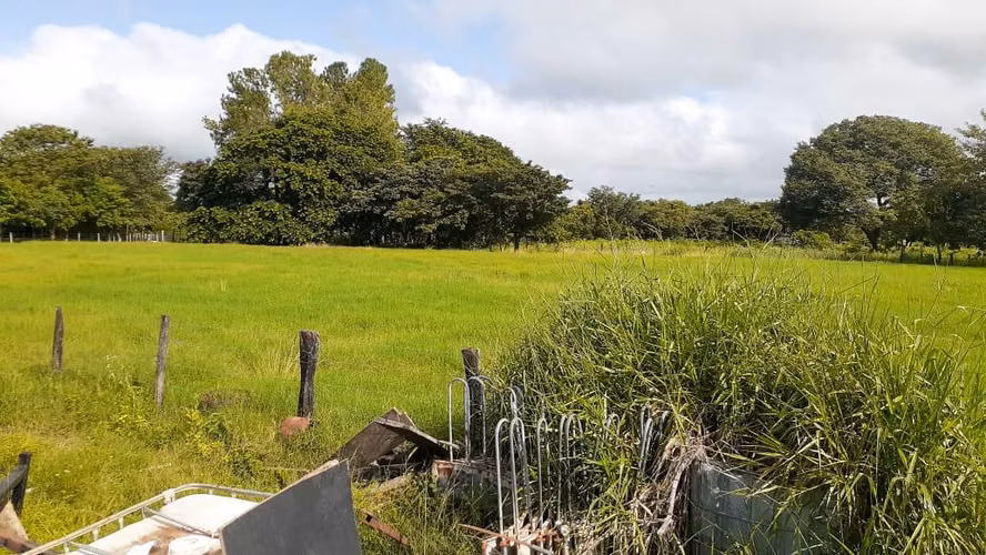 Se vende espectacular finca Chiriquí 10,000 por hectárea
