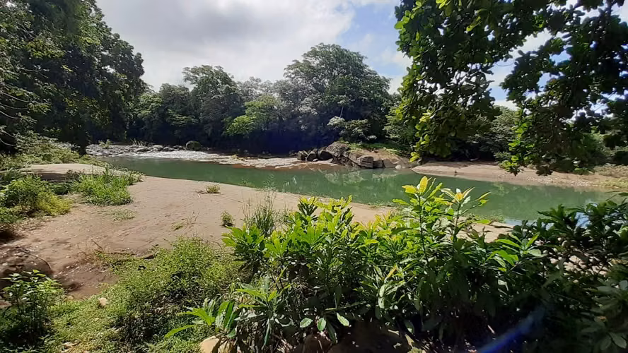 Se vende espectacular finca Chiriquí 10,000 por hectárea