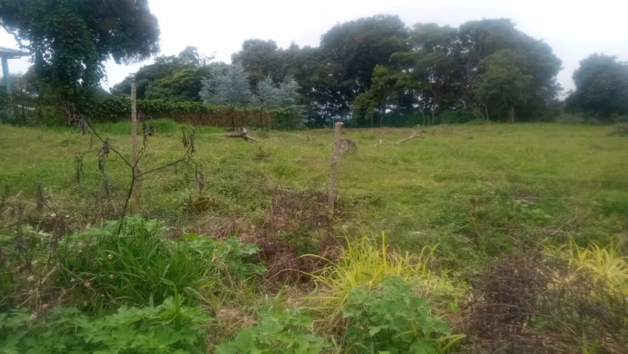 Terreno en Venta – Palmira, Boquete