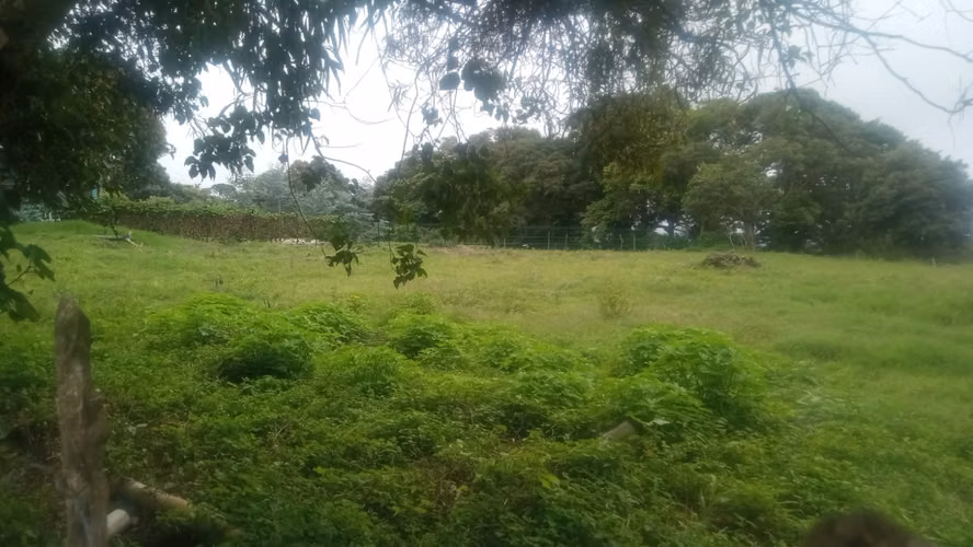 Terreno en Venta – Palmira, Boquete