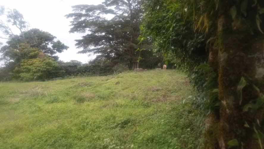 Terreno en Venta – Palmira, Boquete