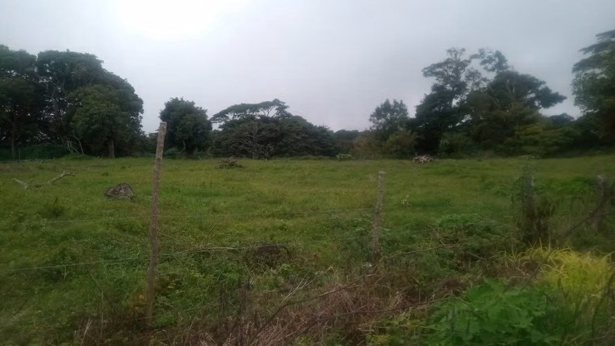 Terreno en Venta – Palmira, Boquete